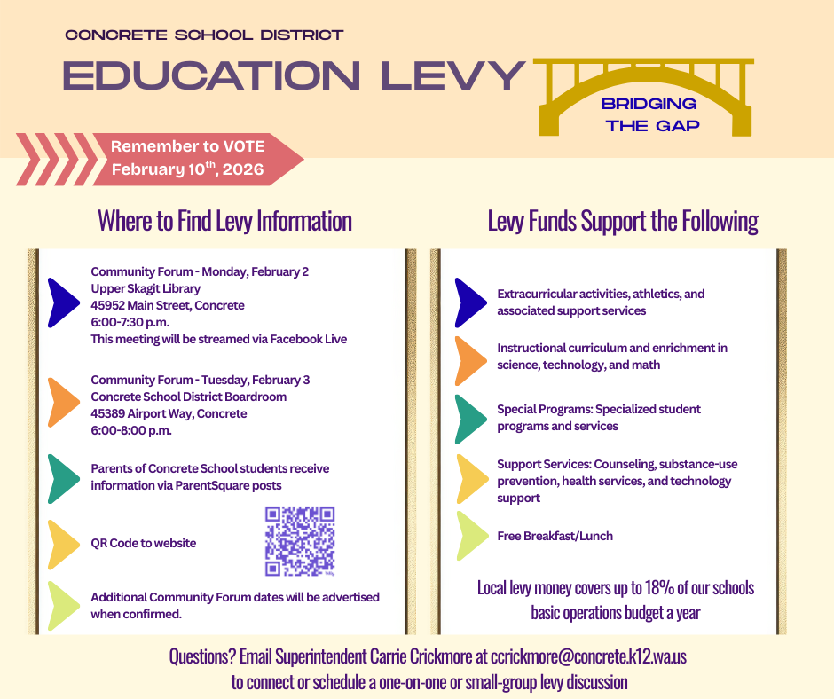Levy Info Flyer
